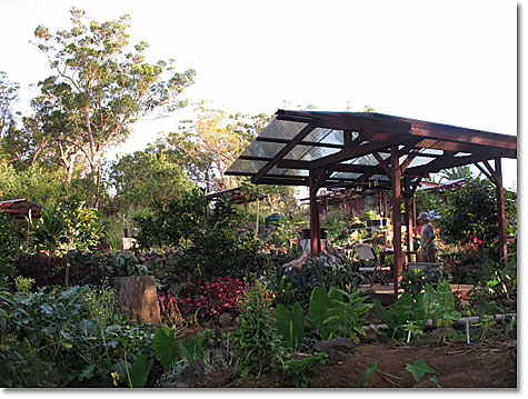 The Importance of Green Spaces - Pacific Quest: Wilderness Therapy for Teens & Young Adults