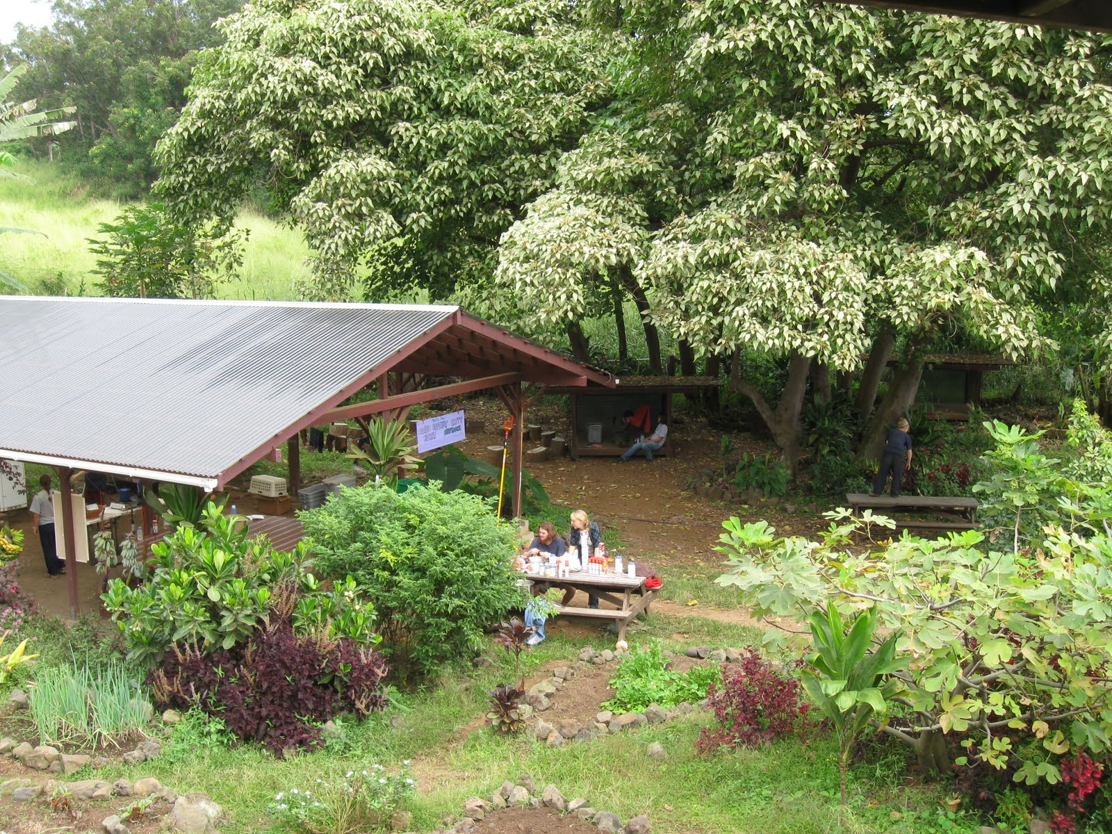 Telling a new story - Pacific Quest: Wilderness Therapy for Teens & Young Adults