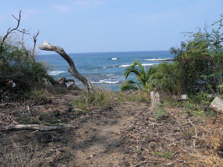 Outing to Miloli'i Village and Honomolino Beach - Pacific Quest: Wilderness Therapy for Teens & Young Adults
