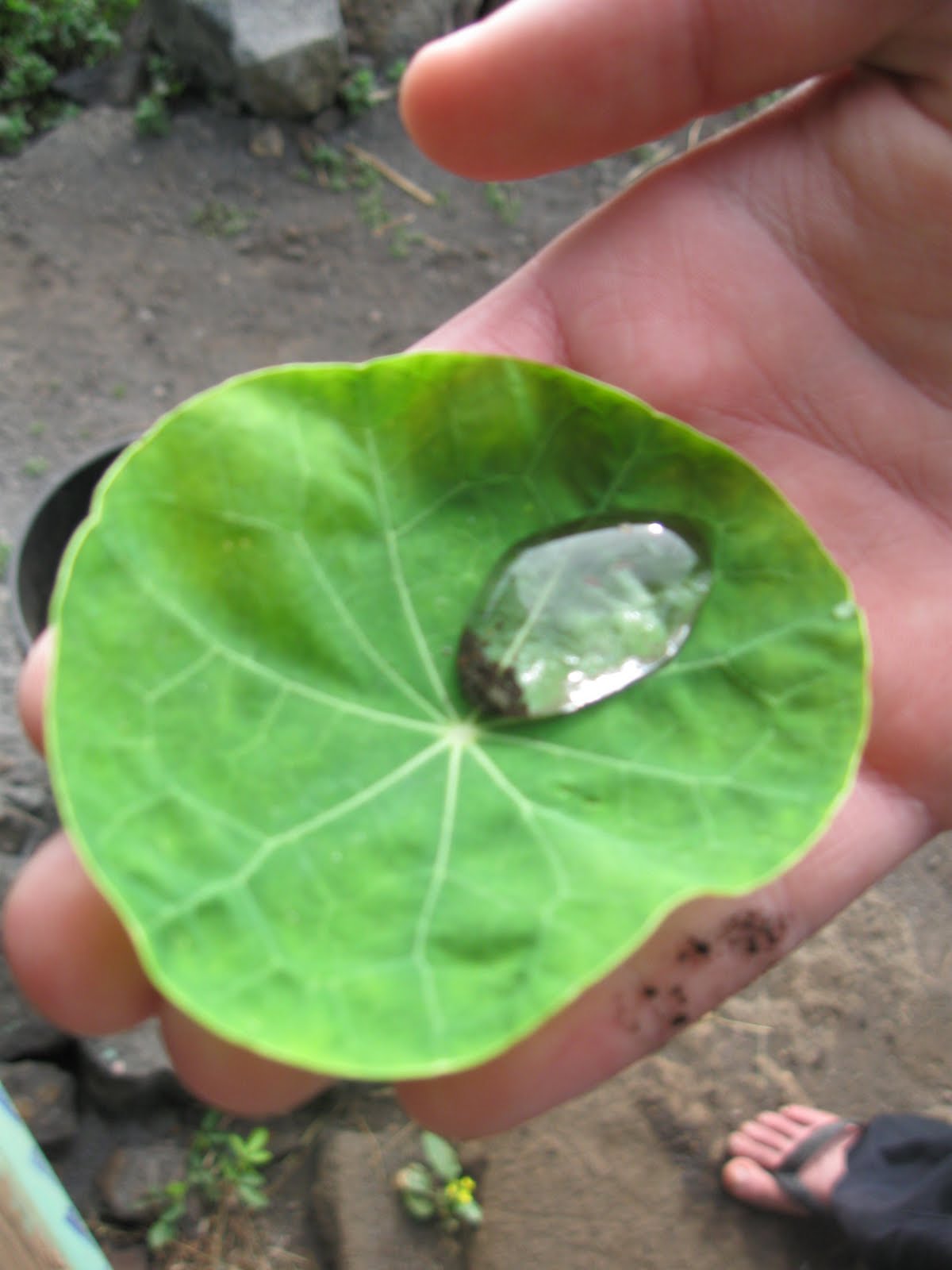 IMG_0843 Community Service - Pacific Quest: Wilderness Therapy for Teens & Young Adults