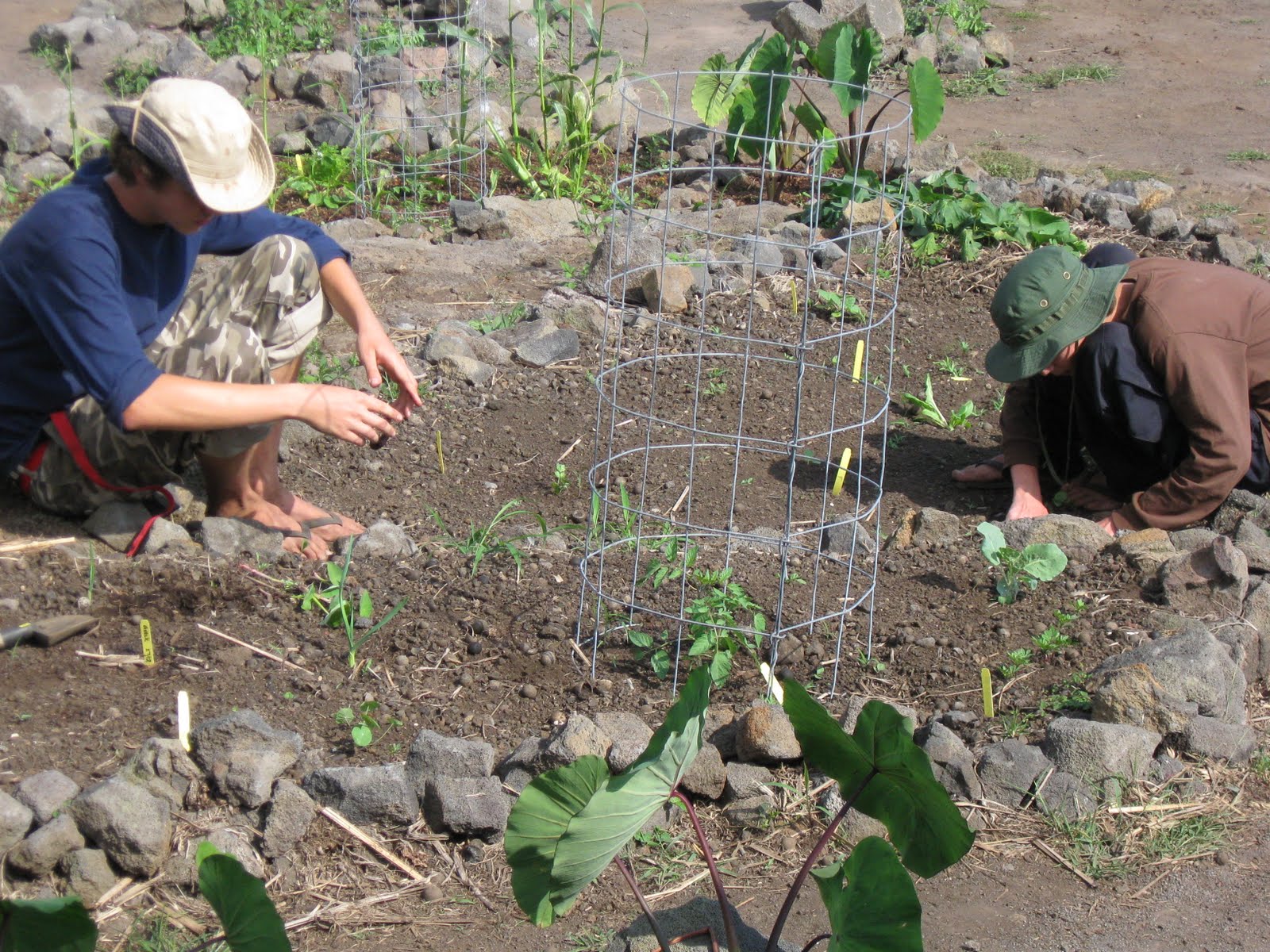 Recent study linking pesticides to ADHD - Pacific Quest: Wilderness Therapy for Teens & Young Adults