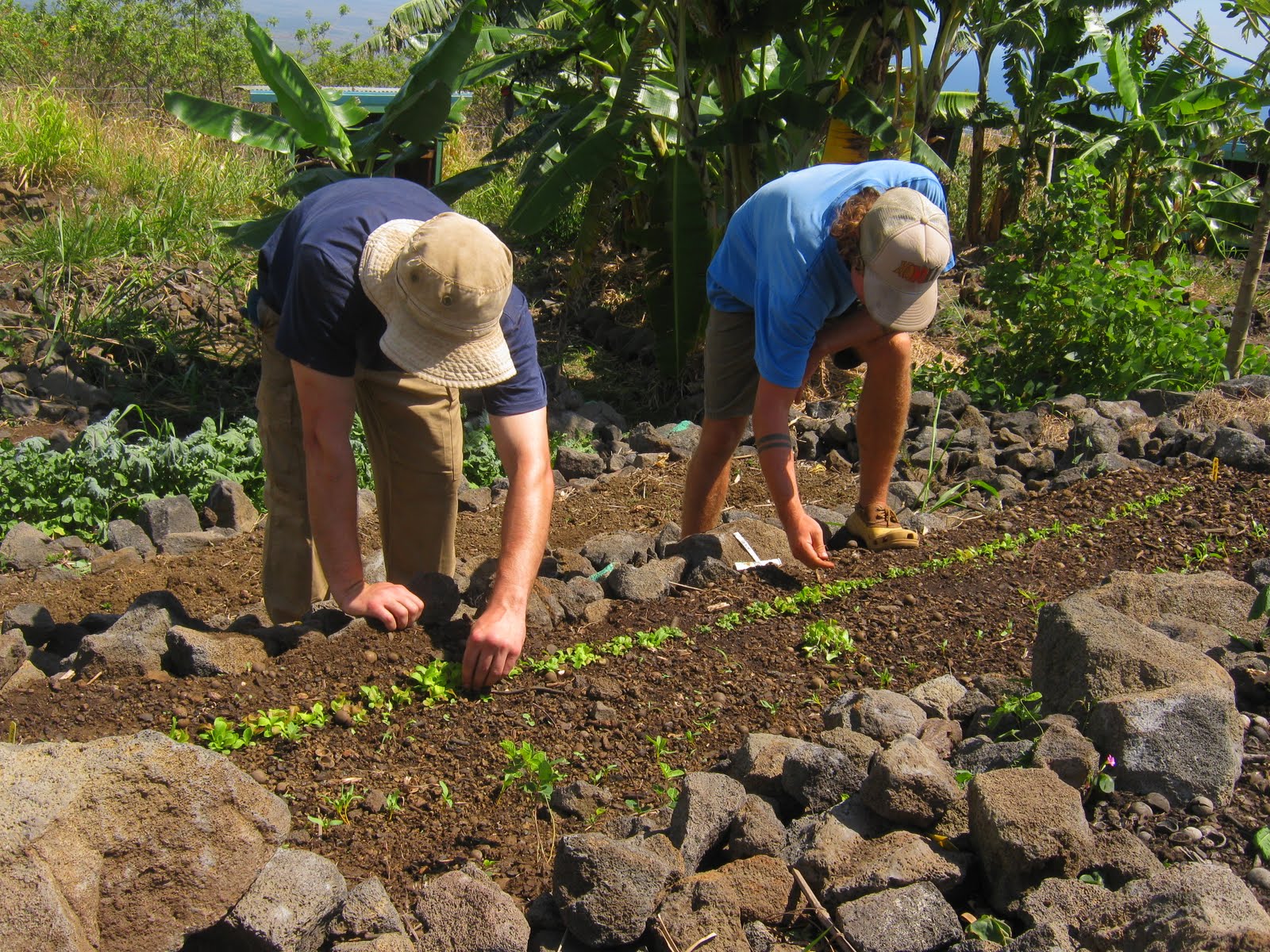 Notes from Land Manager Patrick Leatherman - Pacific Quest: Wilderness