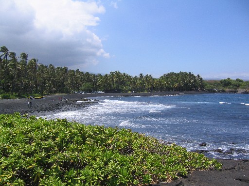 Community Service Project - Pacific Quest: Wilderness Therapy for Teens & Young Adults