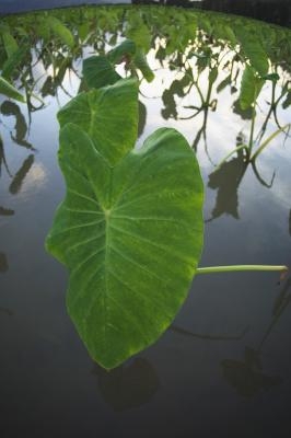 Radio Interview with Toby Mautz, PQ Clinical Director  - Pacific Quest: Wilderness Therapy for Teens & Young Adults