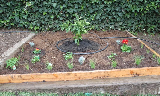 Sustainable Growth: A Parent’s Journey - Pacific Quest: Wilderness Therapy for Teens & Young Adults