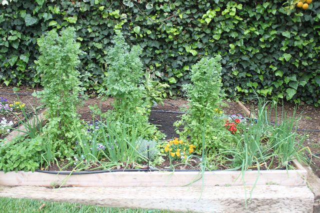 Sustainable Growth: A Parent’s Journey - Pacific Quest: Wilderness Therapy for Teens & Young Adults