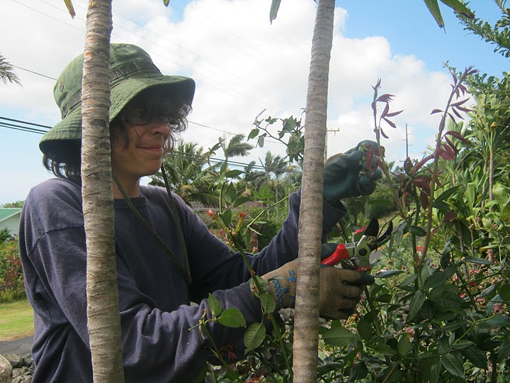 IMG_1083 Volunteering at the Naohuleua Historical Garden - Pacific Quest: Wilderness Therapy for Teens & Young Adults