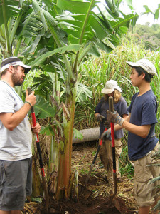 Pacific Quest Field Staff