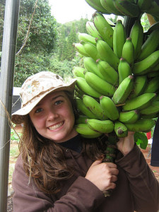 Pacific Quest Harvest