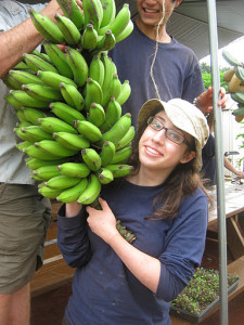 Pacific Quest Harvest