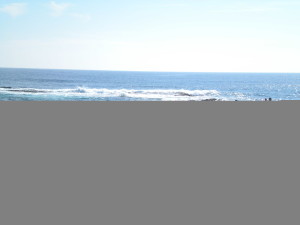 Fishing Pacific Quest