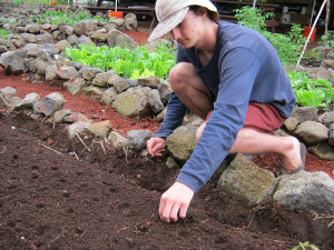 Garden Pacific Quest