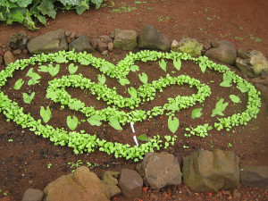 Pacific Quest Wilderness Therapy