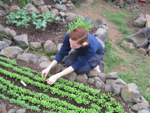 Pacific Quest Wilderness Therapy Program