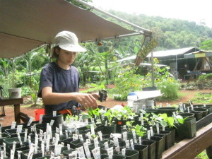 Pacific Quest Wilderness Therapy Program