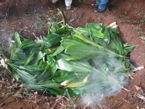 Pacific Quest Wilderness Therapy Program