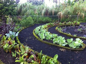 Pacific Quest Wilderness Therapy Program