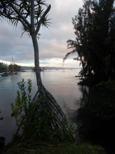 Pacific Quest Wilderness Therapy Program