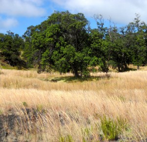 Pacific Quest Wilderness Therapy Program