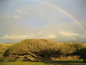 Pacific Quest Wilderness Therapy Program