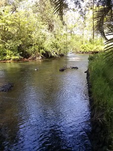 Pacific Quest Wilderness Therapy Program