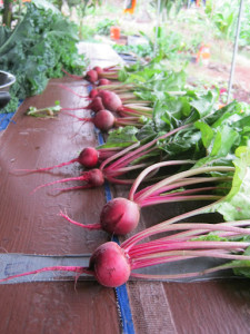 Pacific Quest Wilderness Therapy Program