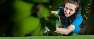 Wellness Lesson - Pacific Quest: Wilderness Therapy for Teens & Young Adults