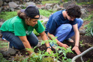 Guiding the Guides: The Unique Role of the Master Guide at PQ