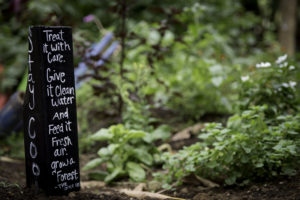 Makahiki Celebrations at Pacific Quest Wilderness Therapy