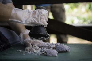 Makahiki Celebrations at Pacific Quest Wilderness Therapy
