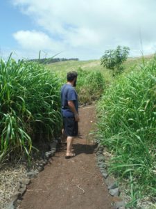 PQ Alumni Success Story: Creating a Path - in the Garden and in Life