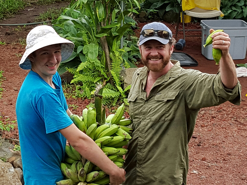 harvesting bananas; horticultural therapy