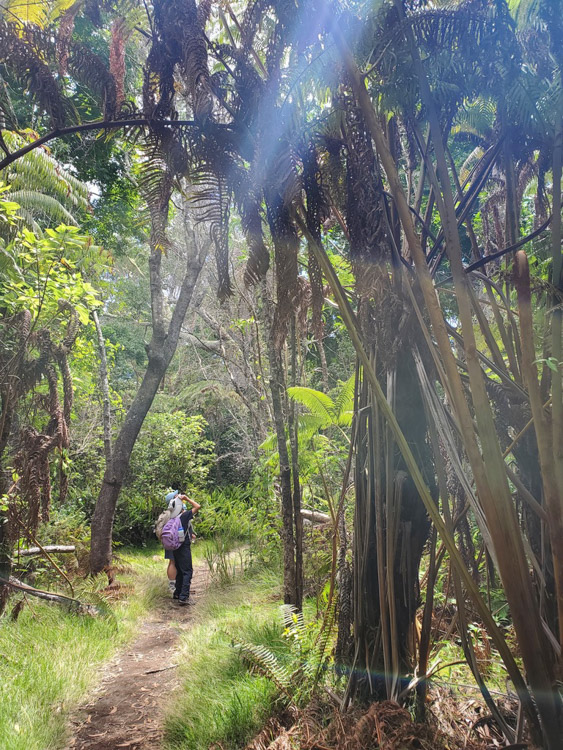 F5834D7E-6949-48BE-A86E-20E4CE2D3F55_1_105_c